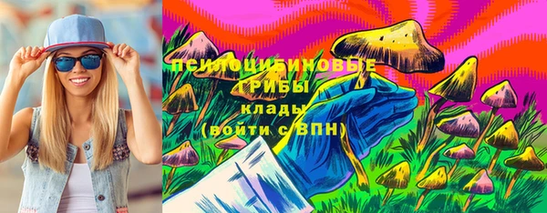 соль ск Кулебаки