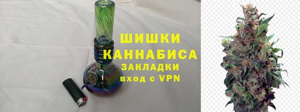 соль ск Кулебаки