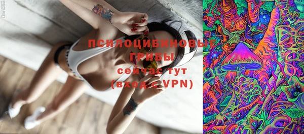мет Кукмор