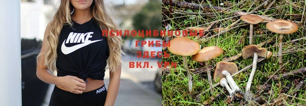 мет Кукмор
