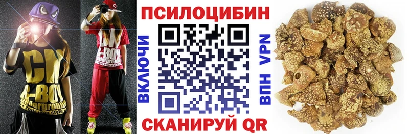 Купить закладки Олонец Псилоцибиновые грибы GOLDEN TEACHER